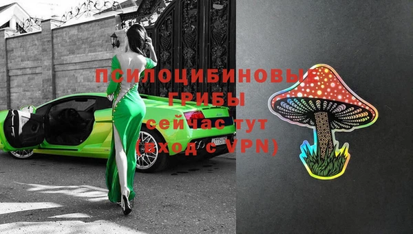 apvp Арсеньев