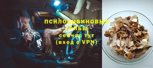 молекула духа Алзамай