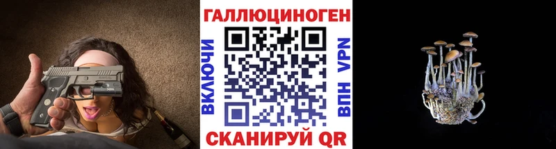 где купить наркоту  Лесной  кракен онион  Псилоцибиновые грибы мухоморы 